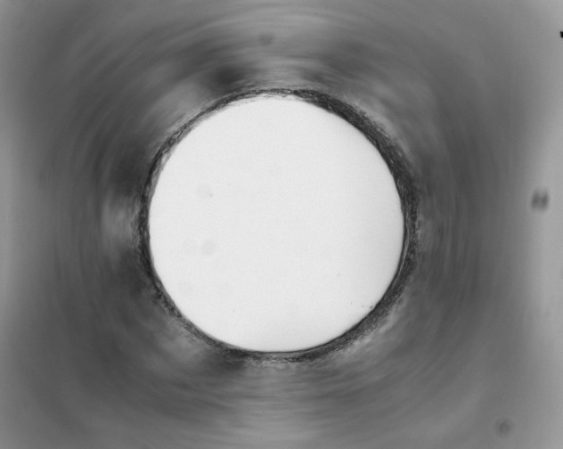 X0000102030873200808011445