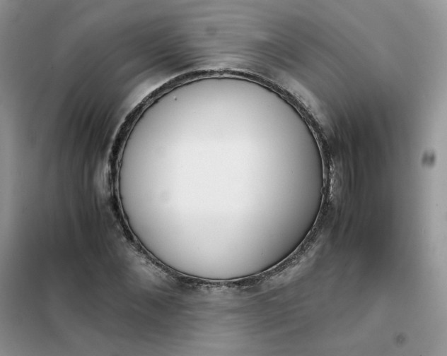 X0000102030876200808011445