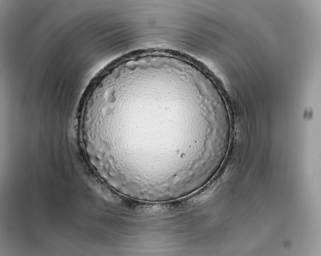 X0000102030879200808011445