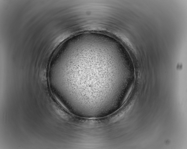 X0000102030881200808011445