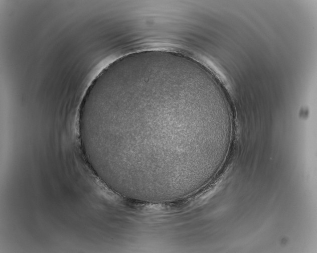 X0000102030883200808011445