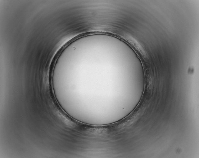 X0000102030884200808011445