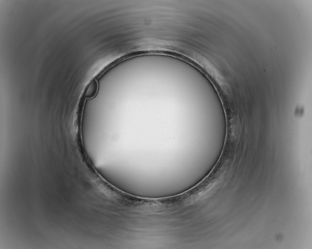 X0000102030885200808011445