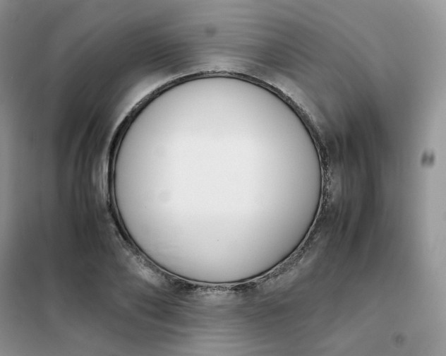 X0000102030886200808011445