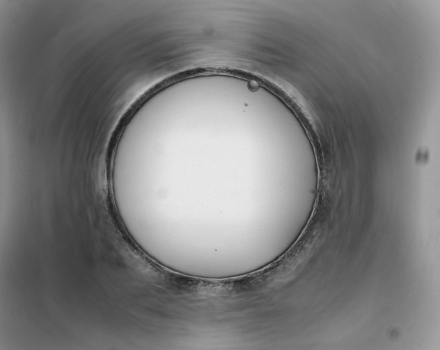 X0000102030887200808011445