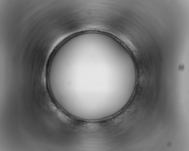 X0000102030888200808011445