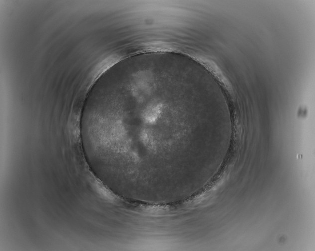 X0000102030889200808011445