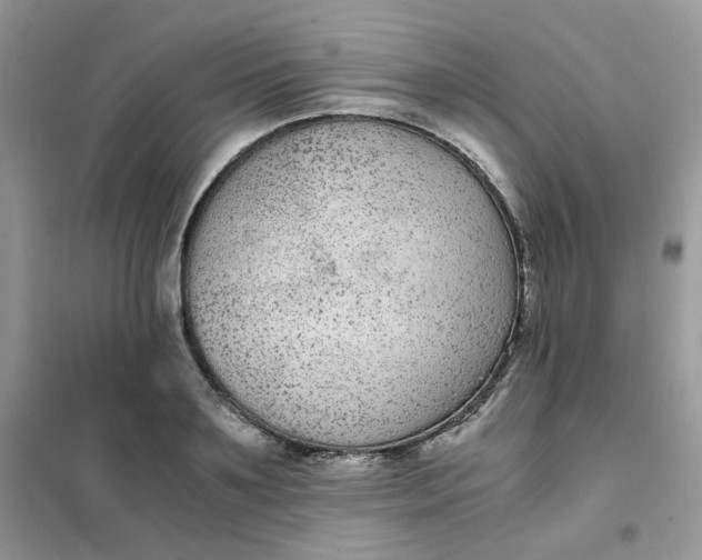 X0000102030891200808011445