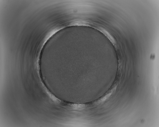 X0000102030893200808011445