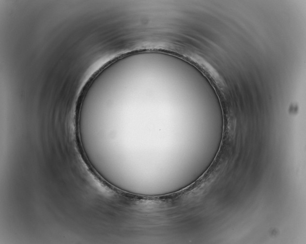 X0000102030894200808011445