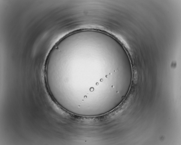 X0000102030895200808011445