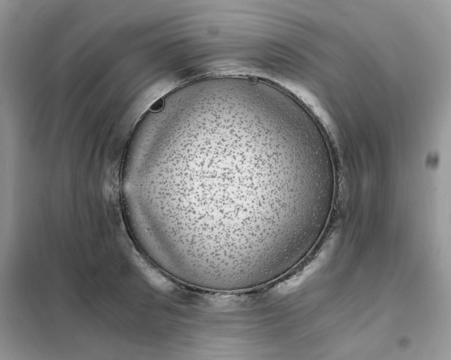 X0000102030897200808011445