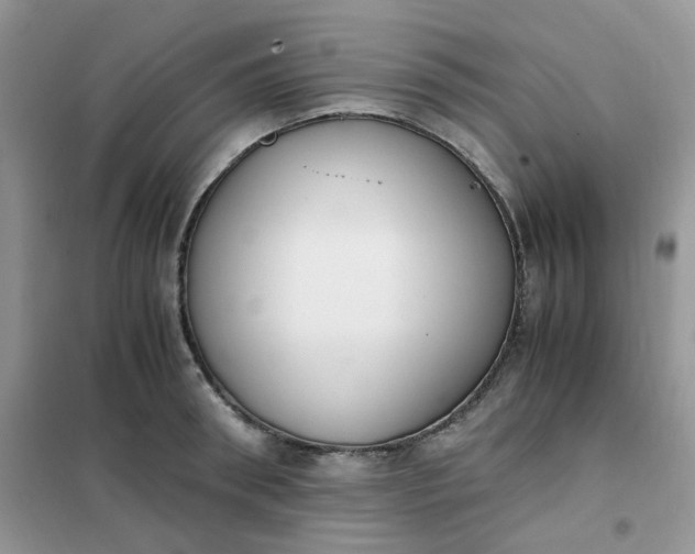 X0000102030898200808011445