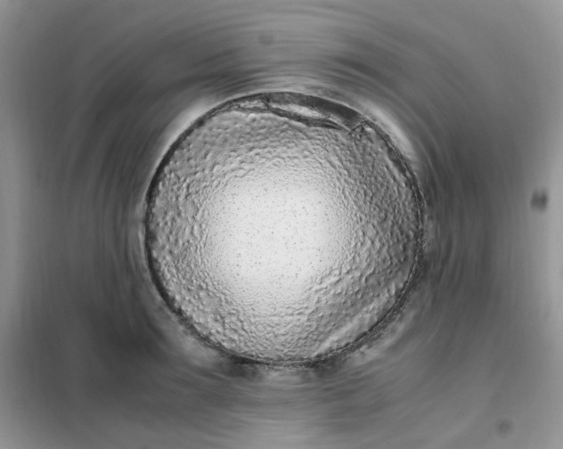 X0000102030899200808011445