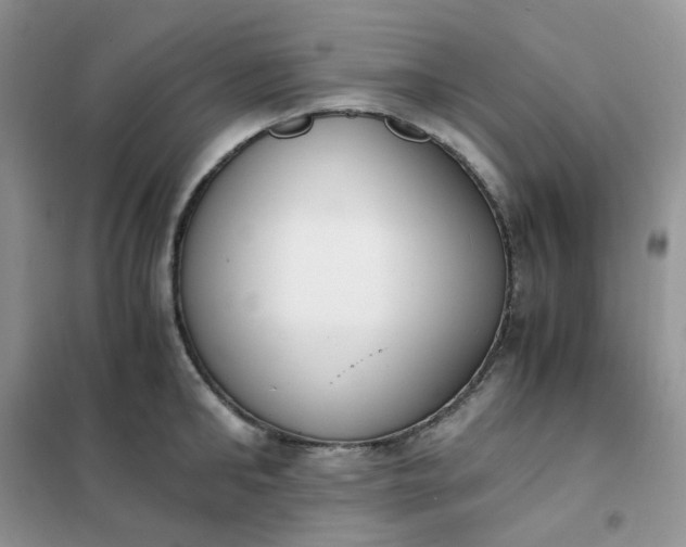 X0000102030902200808011445