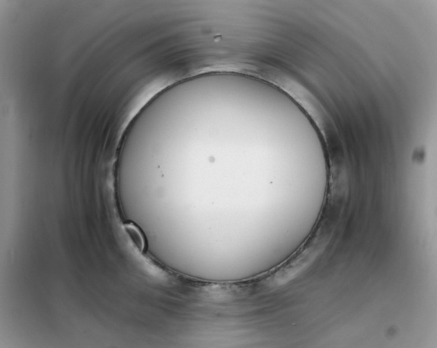 X0000102030906200808011445