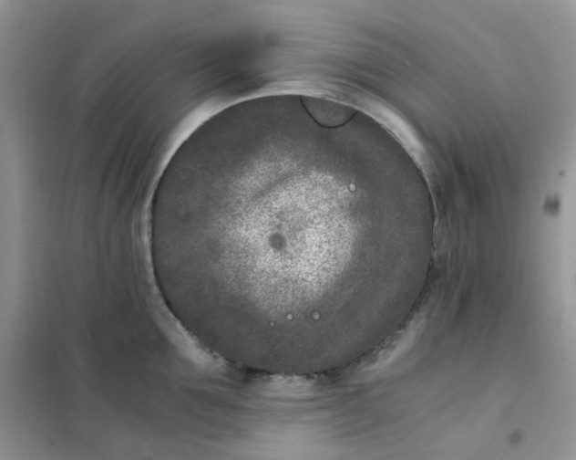 X0000102030907200808011445