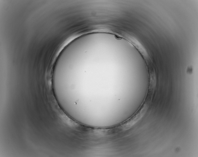 X0000102030908200808011445