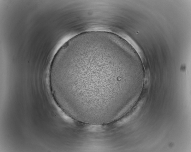 X0000102030909200808011445