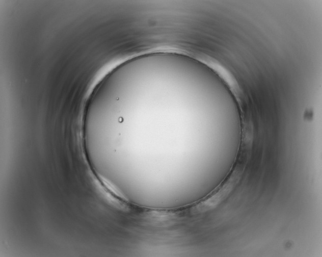 X0000102030910200808011445