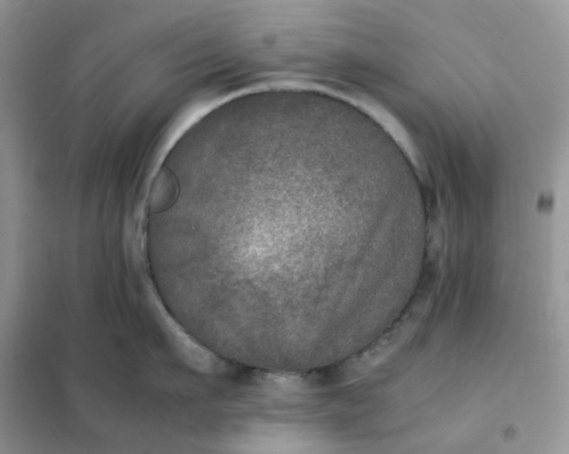 X0000102030911200808011445