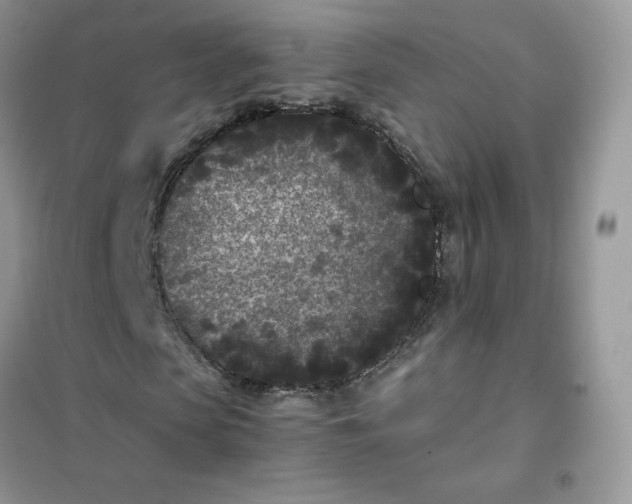 X0000102030913200808011444