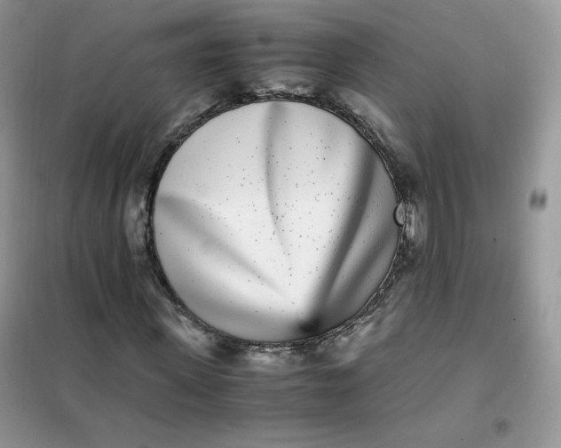 X0000102030915200808011444