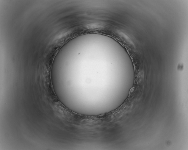 X0000102030917200808011444