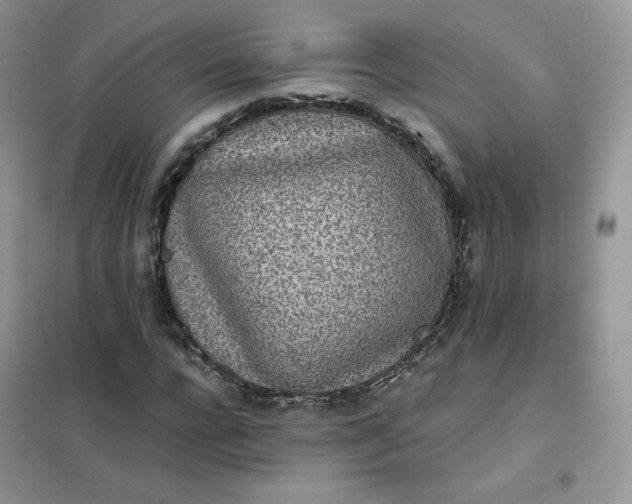 X0000102030920200808011444