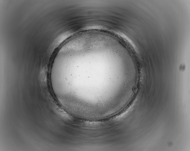 X0000102030921200808011444