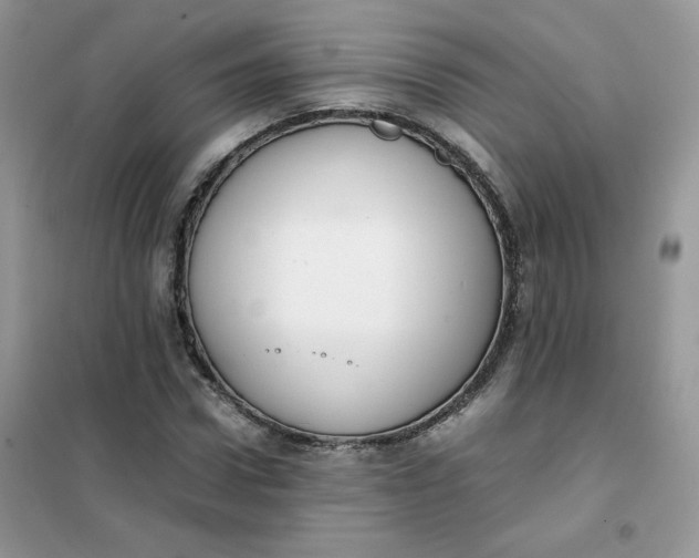 X0000102030922200808011444