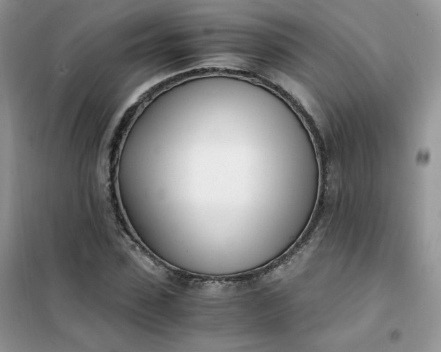 X0000102030923200808011444