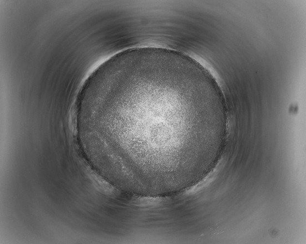 X0000102030925200808011444