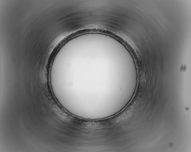 X0000102030927200808011444