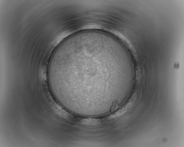 X0000102030929200808011444