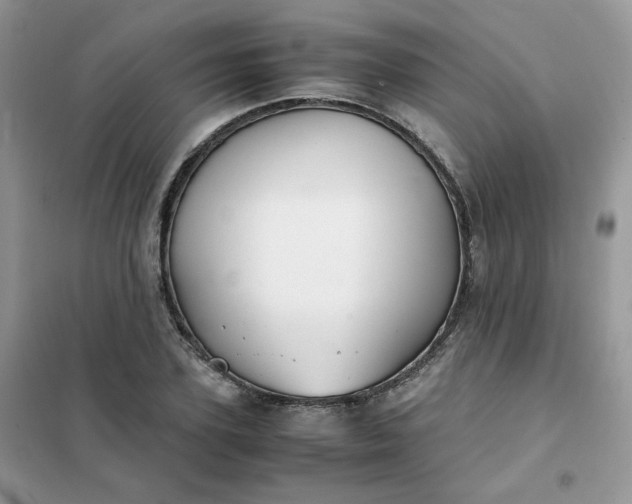 X0000102030931200808011444