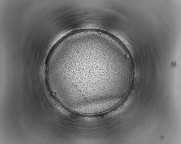 X0000102030933200808011444