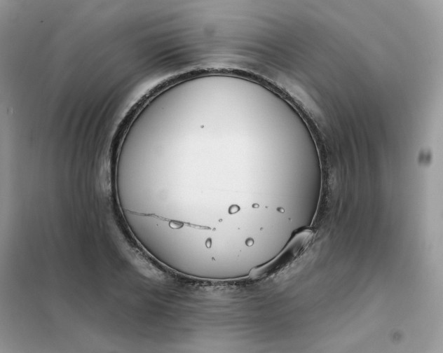 X0000102030934200808011444