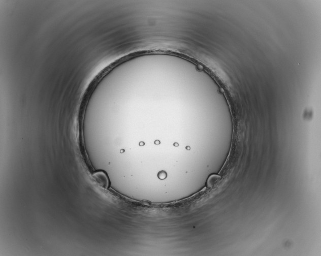 X0000102030936200808011444