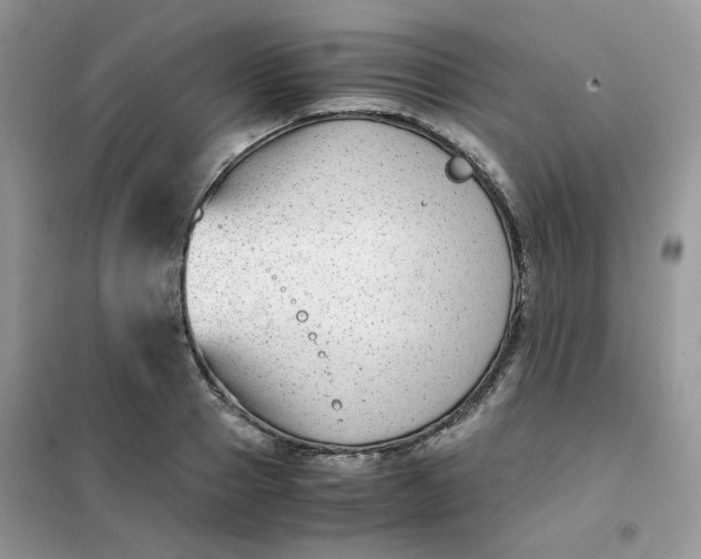 X0000102030937200808011444