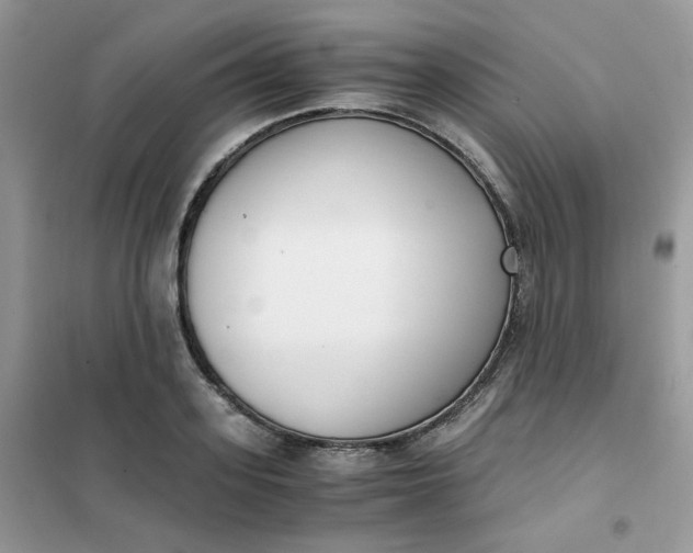 X0000102030939200808011444