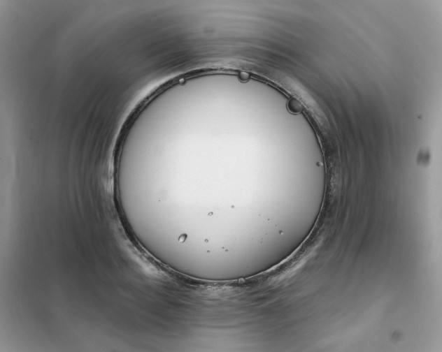 X0000102030940200808011444