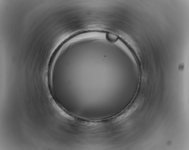 X0000102030941200808011444