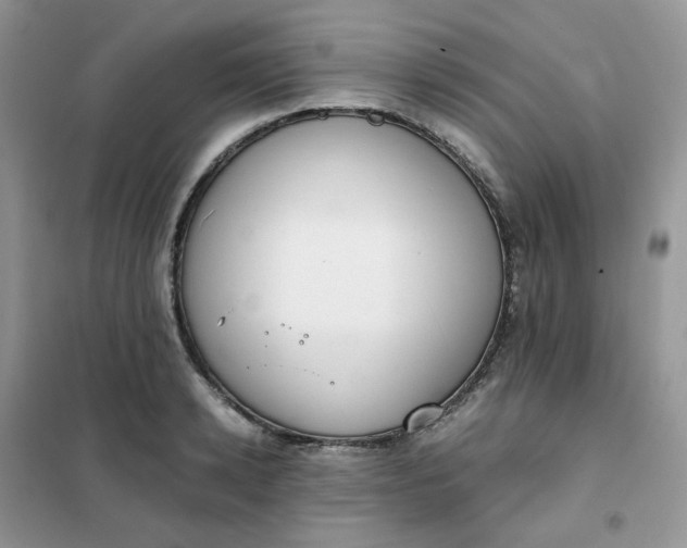 X0000102030942200808011444