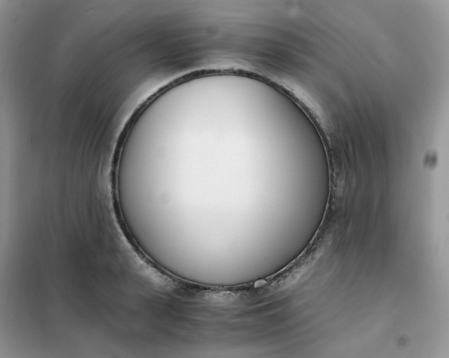 X0000102030943200808011444