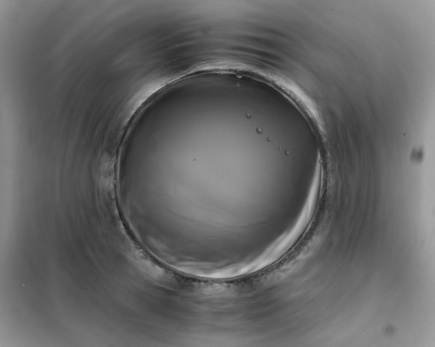 X0000102030945200808011444