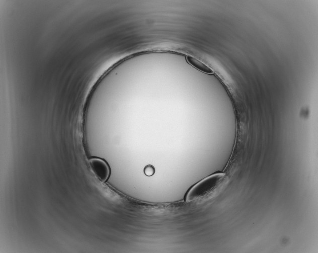 X0000102030948200808011444