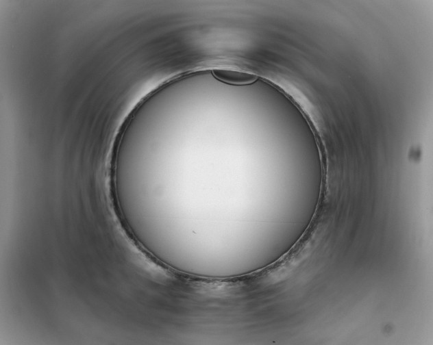 X0000102030949200808011444