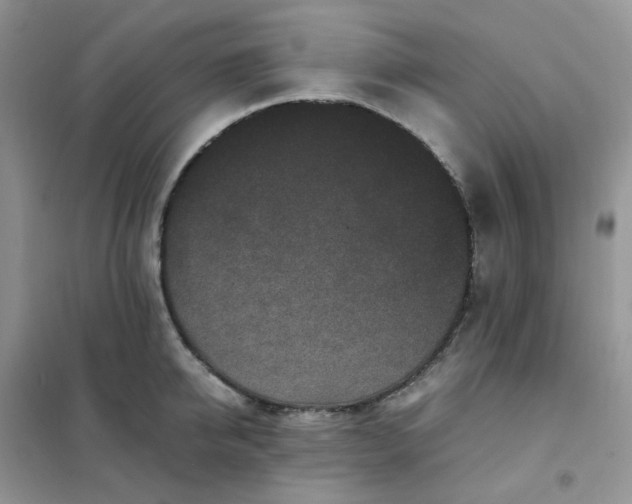 X0000102030950200808011444