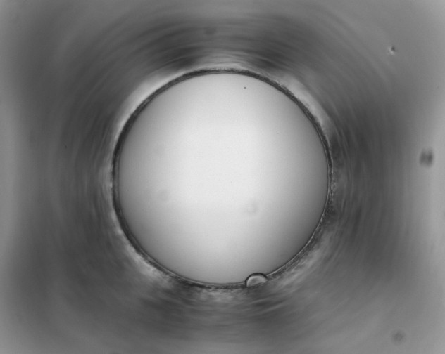 X0000102030951200808011444